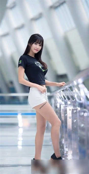 每天更新585部大象