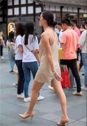 校花的堕落杨佳琪阅读