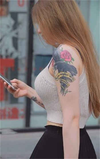 求哔咔最新版下载链接