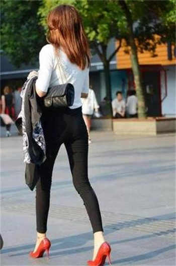 苏卿陆延免费阅读
